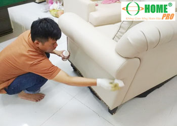 Dịch vụ vệ sinh ghế Sofa da, ghế Salon da-homepro